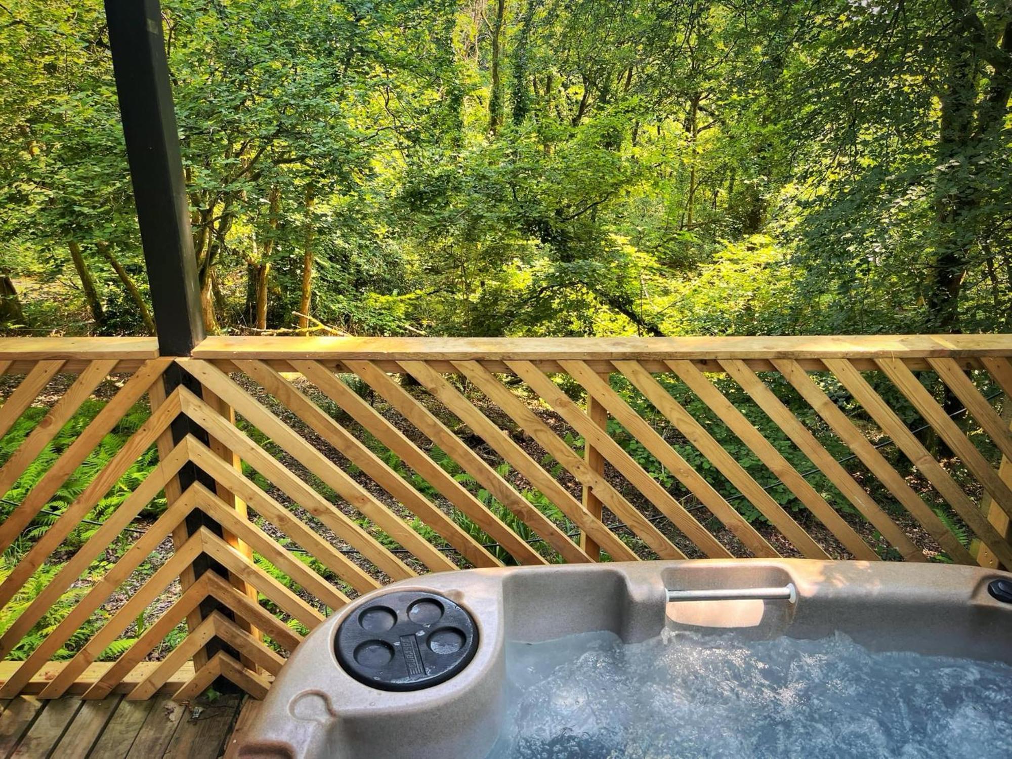 Goldcrest 3-Hot Tub-Woodland Lodges-Carmarthenshire-Tenby Exterior foto